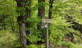 Excursión Senderismo Laveissière - La veissiere Puy de seycheuse - Photo 2