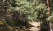 Tocht Stappen Rivière-sur-Tarn - Puech de Fontaneilles - Photo 19