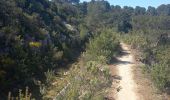 Randonnée Marche Peyrolles-en-Provence - Ancien canal du Verdon 1.5.22 - Photo 4