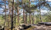 Excursión Senderismo Milly-la-Forêt - Boucle Milly la Forêt - Vaudoué via les 3 pignons et les bords de l'école - Photo 6