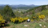 Trail Walking Saint-Paul-le-Jeune - St Paul Le Jeune-Chapelle St Sébastien 18km - Photo 2