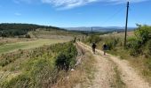 Trail Walking Mas-Saint-Chély - Mas St Chely Mont Servy 5 km - Photo 6