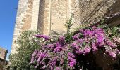 Percorso Marcia Grignan - Grignan - Photo 3