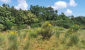 Tour Wandern La Farlède - De La farlède au plateau de Mourras - Photo 6