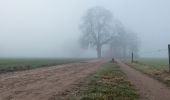 Tour Zu Fuß Lochem - Lochemse Berg Route - Photo 3