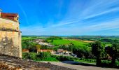 Tocht Stappen Langres - Boucle 32 km autour de Langres - Photo 14