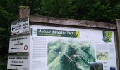 Tour Wandern Storckensohn - Urbes - Gazon vert - Photo 2