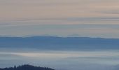 Tocht Stappen Lepuix - Ballon d'Alsace - cascade et lac d'Alfeld - Photo 3