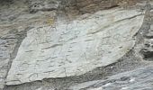 Tour Zu Fuß Bièvre - Se mouvoir et s'émouvoir au gré de l'Ardenne insoupçonnée. Parcours complet - Photo 4