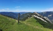 Tour Wandern Glandage - Grimone-Le Jocou 12km - Photo 4