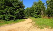 Excursión Senderismo Pierrefonds - en forêt de Compiègne_30_la Tournante sous le Mont Saint-Mard - Photo 1