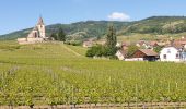 Randonnée Marche Mittelwihr - Les perles du vignoble : Mittelwihr - Beblenheim - Zellenberg - Hunawihr - Riquewihr - Sigolsheim - Photo 3