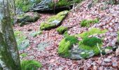 Tocht Stappen La Roche-en-Ardenne - Maboge  - Photo 20