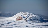 Randonnée Raquettes à neige Saint-Agnan-en-Vercors - Beure - Écondus - Photo 6