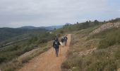 Trail Nordic walking Clermont-l'Hérault - La Ramasse 6 Mars 2021 - Photo 11