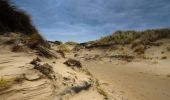 Trail On foot Castricum - Halve Marathon van Egmond - Photo 8