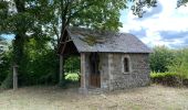 Trail Walking Gouvy - Baclain La Falize 8/2020 - Photo 1