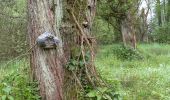 Tour Zu Fuß Harmstorf - Jesteburg Wanderweg 20 - Photo 2