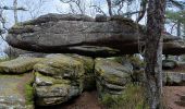 Trail Walking Sainte-Marie-aux-Mines - taenichel - Photo 10