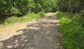 Tocht Stappen La Chapelle-Enchérie - La Chapelle-Enchérie - Bois de Bricsard - Photo 2