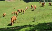 Tour Wandern Voreppe - Voreppe - Rocher de Bellevue - Photo 13