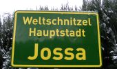 Trail On foot Sinntal - Spessartbogen Zubringer Jossa - Marjoß - Photo 9