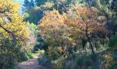 Trail Walking Gonfaron - CVI7-GonfaronNG-291121 - Photo 12