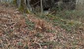 Trail Walking Saint-Amand-les-Eaux - Mesnil, version plus longue - Photo 3