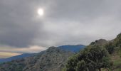 Trail Walking Collioure - madeloc depuis col de la serra, via col de villauria, batterie 500, retour  - Photo 15