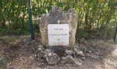 Trail Walking Callian - Callian ,le vallon de la Camiole - Photo 11