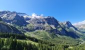 Tour Wandern Pralognan-la-Vanoise - Pralognan, Lac des Vaches par le téléphérique  - Photo 14