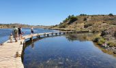 Tour Wandern Peyriac-de-Mer - Peyriac de Mer - Salines  - Photo 3