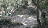 Trail Walking Dolcedo - Laghetti di Lecchiore - Photo 1