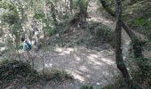 Percorso Marcia Dolcedo - Laghetti di Lecchiore - Photo 1