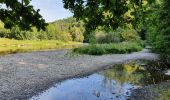 Tocht Stappen Vresse-sur-Semois - rando laforêt 6/08/2020 - Photo 11