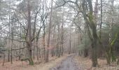 Tour Wandern Esneux - tilff - mery via bois manant retour le long de l ourthe - Photo 2