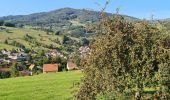 Tour Wandern Schnierlach - La tour du Faudé - Photo 3