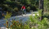 Excursión Bici de montaña Marsella - OR-6270829--Marseille:Trilogie des Calanques - Photo 8