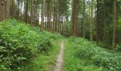 Trail Walking Houffalize - Cetturu 300725 - Photo 2
