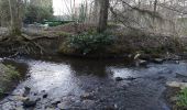 Randonnée A pied Reichshof - Wildberg Rundweg - Photo 1