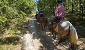 Trail Horseback riding Buoux - Provence 2025 J2 - Photo 7