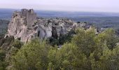 Excursión Senderismo Les Baux-de-Provence - autour des baux - Photo 17