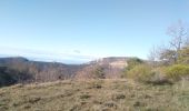 Tocht Stappen Teyssières - col de Lachaud  - Photo 2