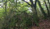 Tocht Noords wandelen Lauroux - Labeil Forêt de L'Escandorgue Roquet Escu - Photo 11