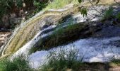 Trail Walking Carcès - chutes du Caramis - Photo 4