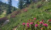 Trail Walking Chorges - Col de la Gardette - l'Esillon 12.6.22 - Photo 9