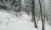 Randonnée Raquettes à neige Sewen - SewenWissgrutFennmatt - Photo 6