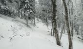 Tocht Sneeuwschoenen Sewen - SewenWissgrutFennmatt - Photo 6