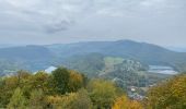 Tour Wandern Stoumont - Exbomont - Point vue COO - Photo 9