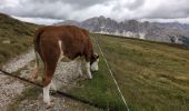 Trail Walking Brixen - Bressanone - Plose Schatzerhütte - Photo 9